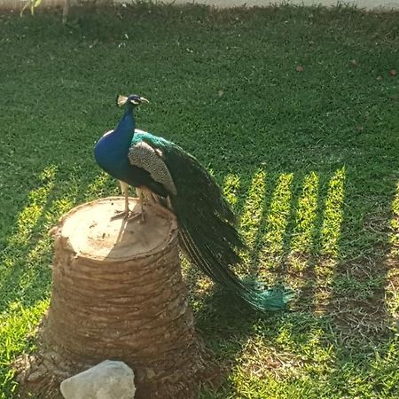 فيلا Per Mare لوترا أوراياس إلينيس المظهر الخارجي الصورة