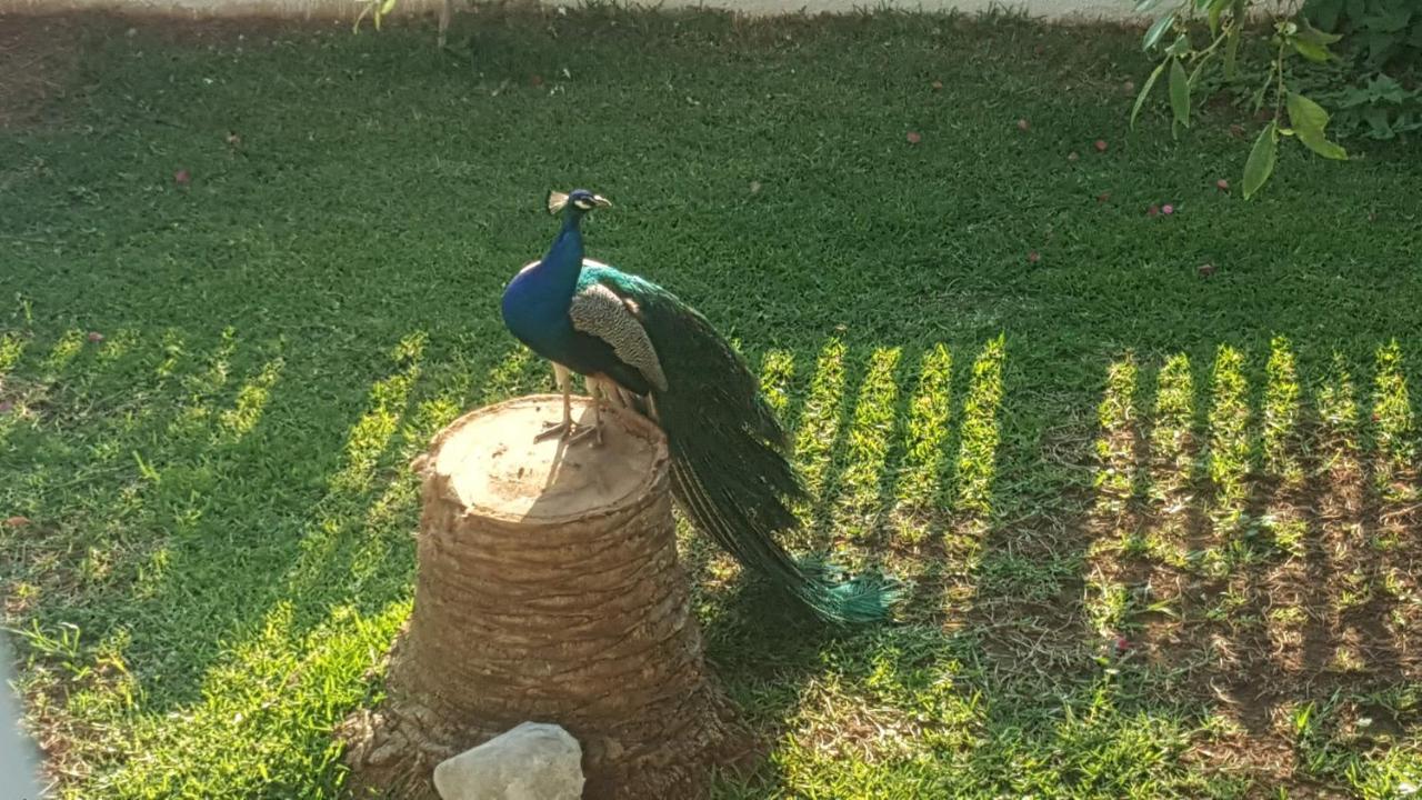 فيلا Per Mare لوترا أوراياس إلينيس المظهر الخارجي الصورة